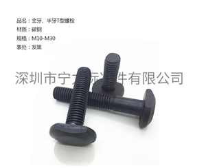 全牙、半牙T型螺栓